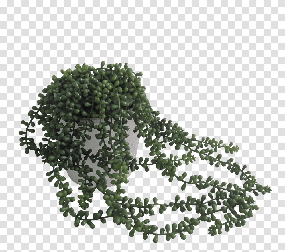 String Of Pearls Clipart Trailing Plant In Pot, Mineral, Map, Diagram, Crystal Transparent Png