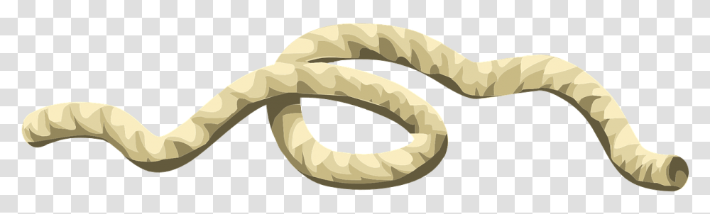 String Rope, Ivory Transparent Png