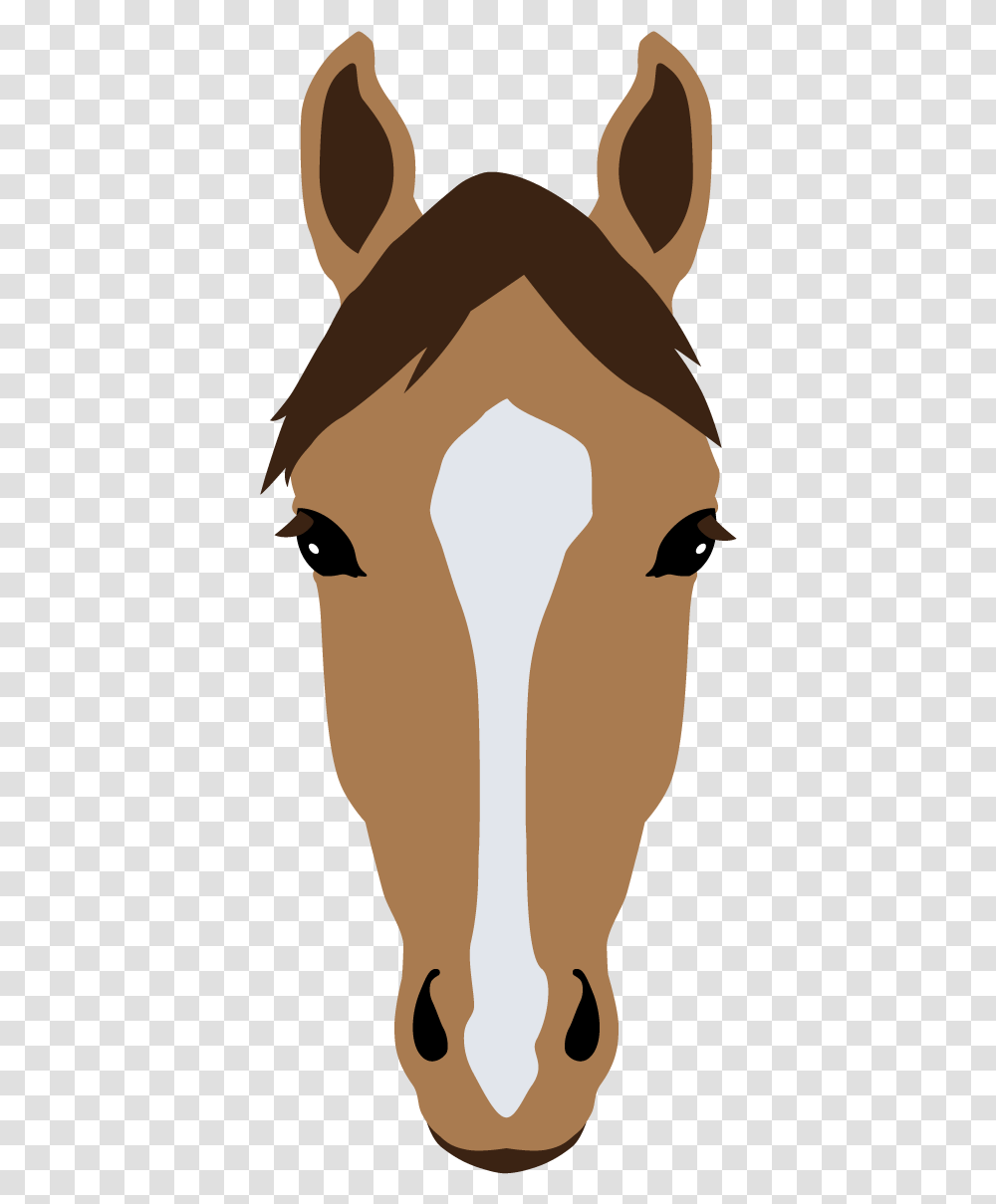 Strip Horse, Person, Sleeve, Long Sleeve Transparent Png