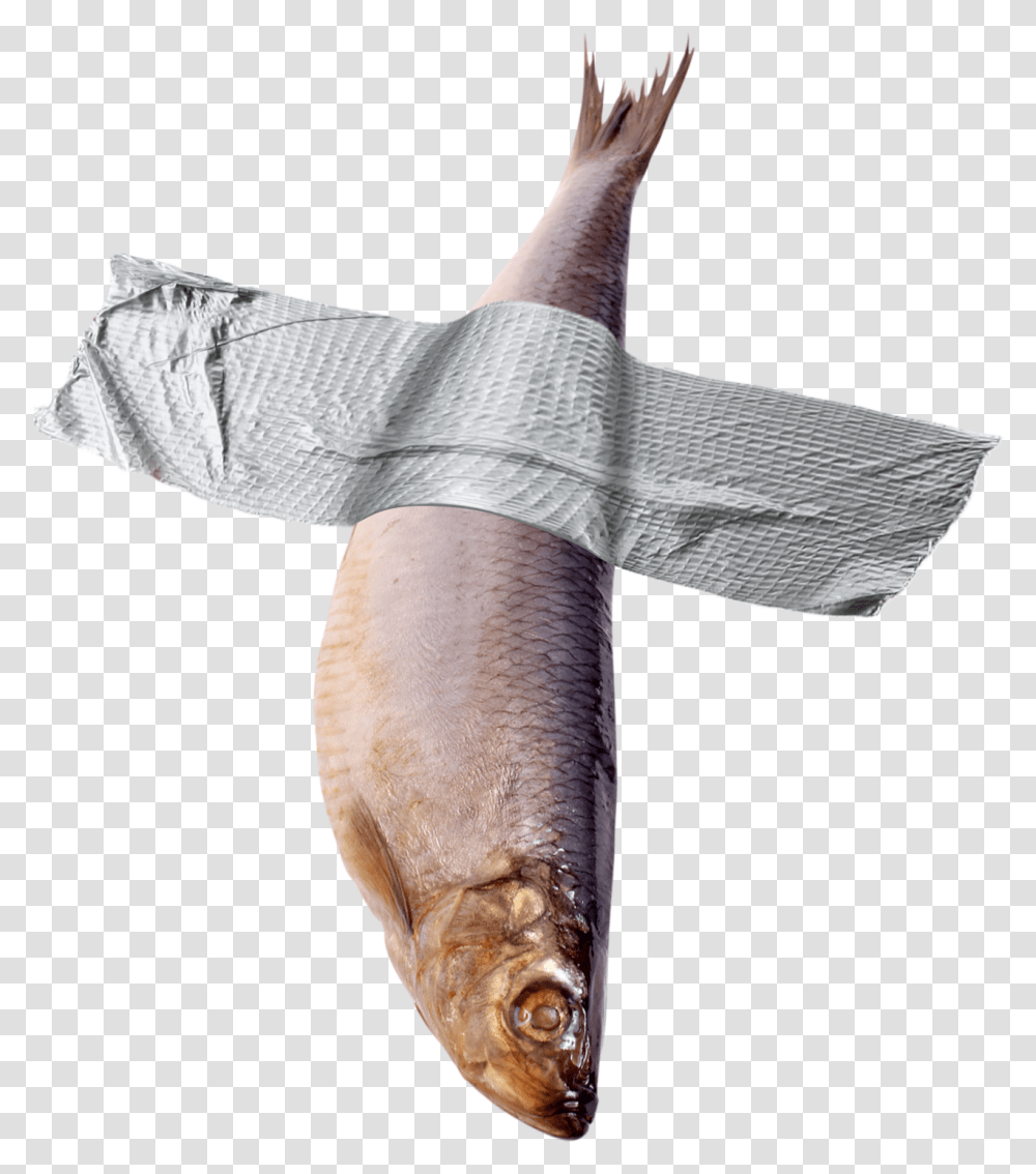 Strip Of Duct Tape, Axe, Tool, Fish, Animal Transparent Png