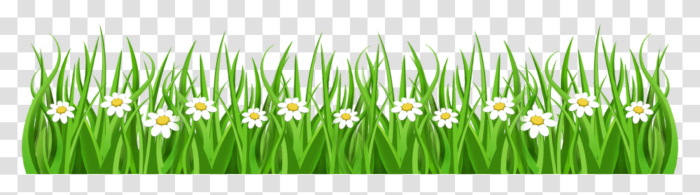 Strip Of Grass Clipart, Plant, Flower, Blossom, Petal Transparent Png