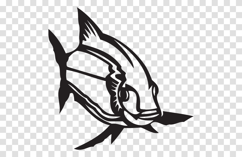 Striped Bass Decal, Fish, Animal, Stencil, Sea Life Transparent Png