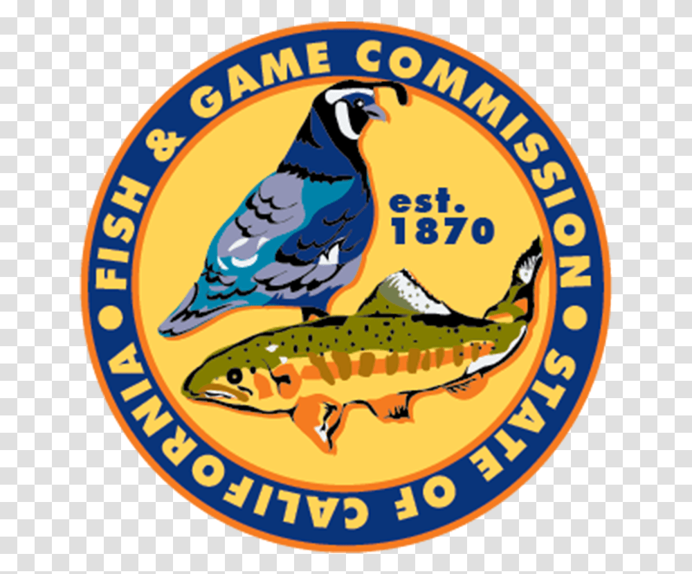 Striped Bass - Cdfw News California Fish And Game Commission Logo, Animal, Jay, Bird, Poster Transparent Png
