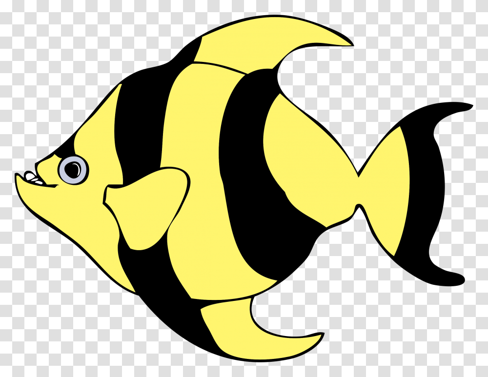 Striped Tropical Fish, Animal, Rock Beauty, Sea Life Transparent Png