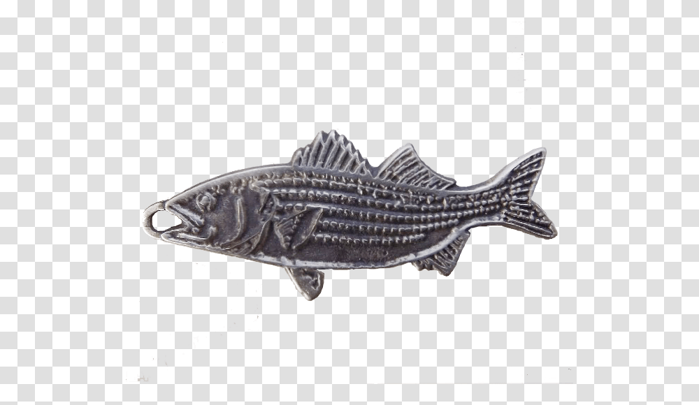 Striper Striper Bass, Fish, Animal, Mullet Fish, Sea Life Transparent Png