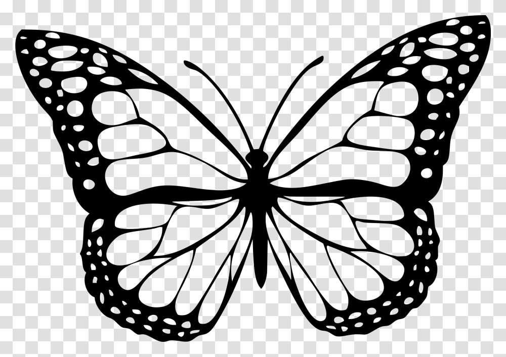Stroke Drawing Butterfly Butterfly Black And White, Gray, World Of Warcraft Transparent Png