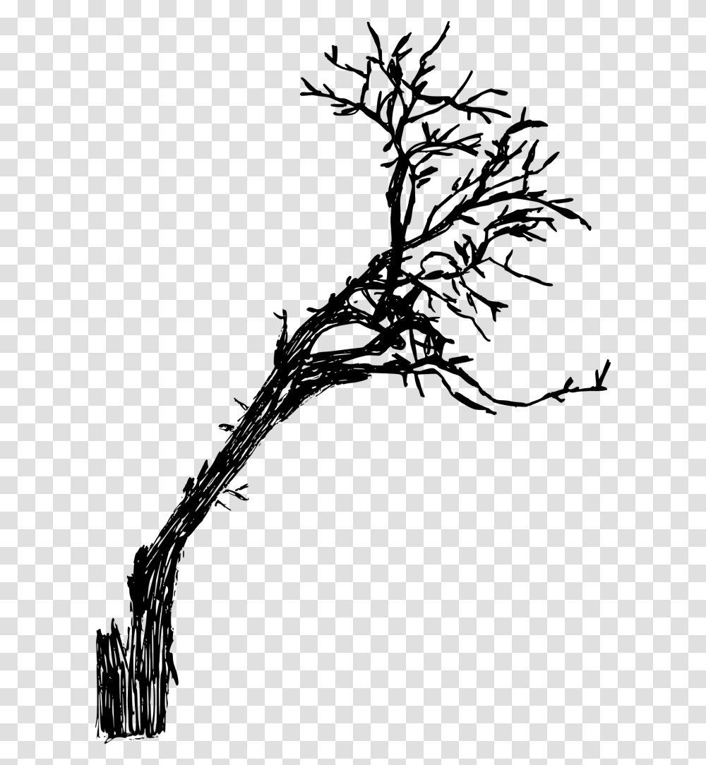 Stroke Drawing Dead Twig, Gray, World Of Warcraft Transparent Png