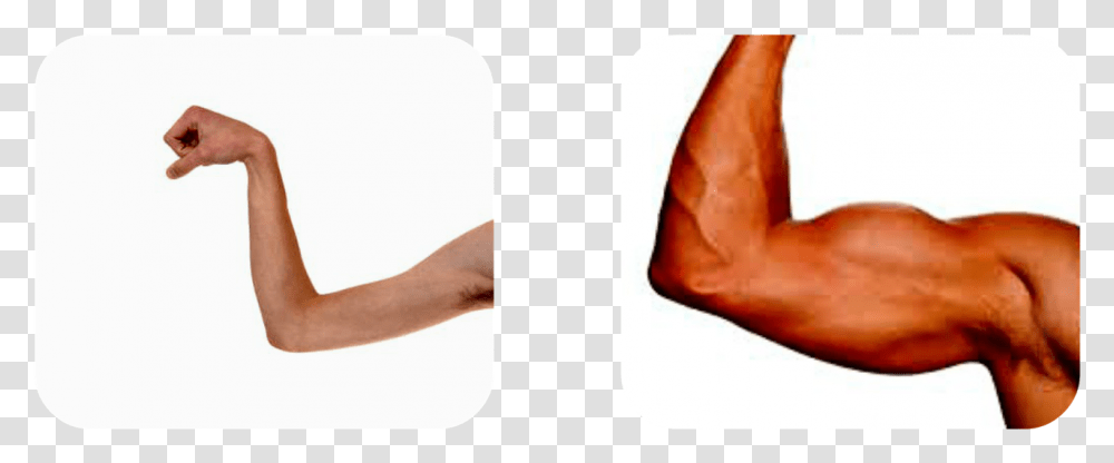Strong And Weak Muscles, Person, Heel, Face Transparent Png