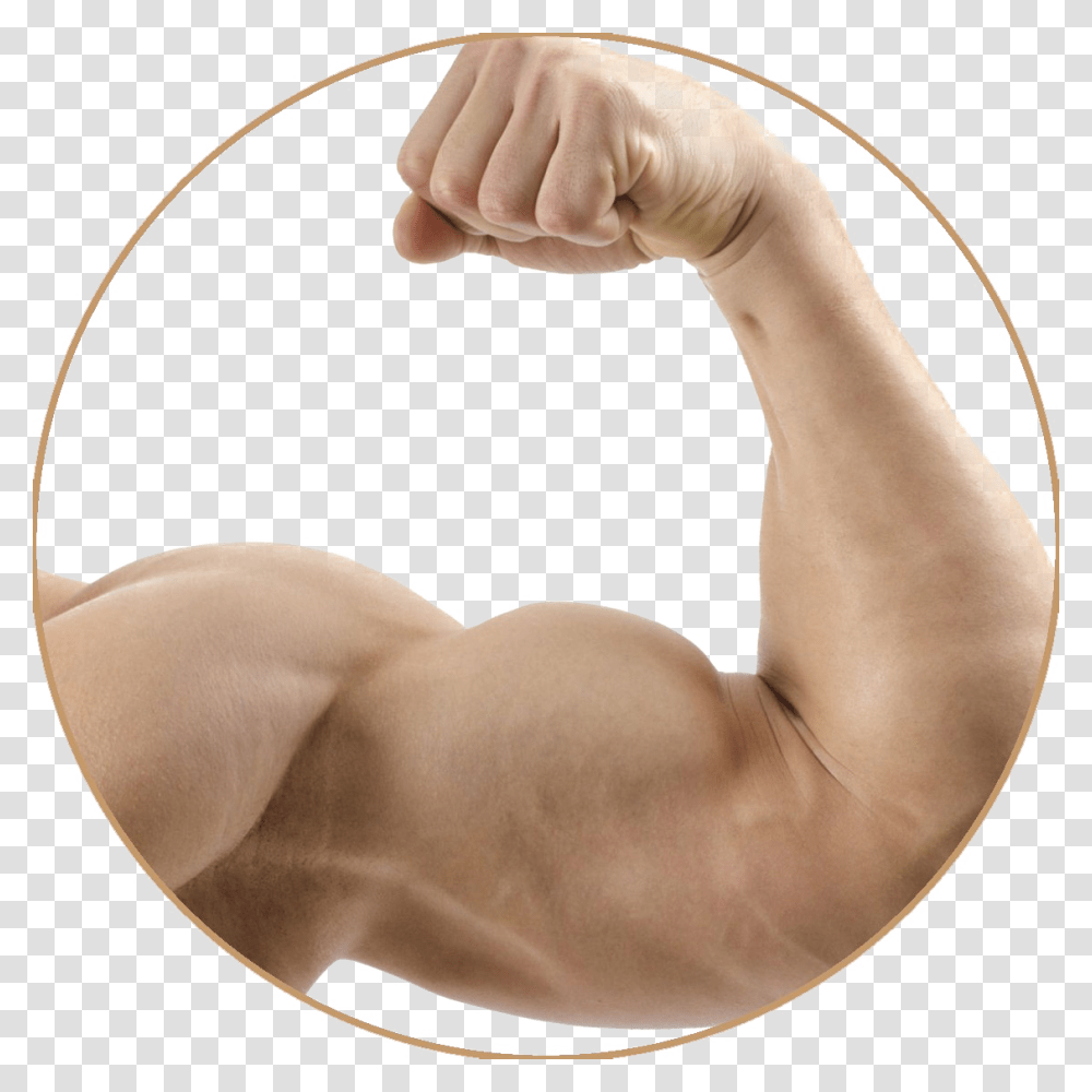 Strong Muscle Arm Image Arm Muscle, Person, Human, Hand, Finger Transparent Png