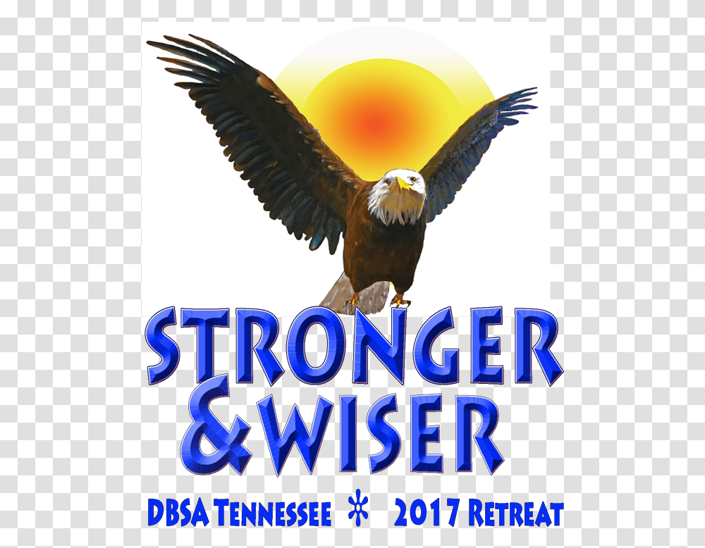 Stronger Amp Wiser Broodje Hamburger Speciaal, Eagle, Bird, Animal, Bald Eagle Transparent Png
