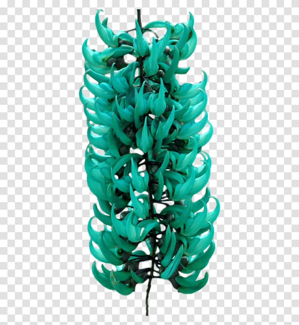 Strongylodon Macrobotrys Commonly Known As Jade Figurine, Pineapple, Plant, Costume, Flower Transparent Png