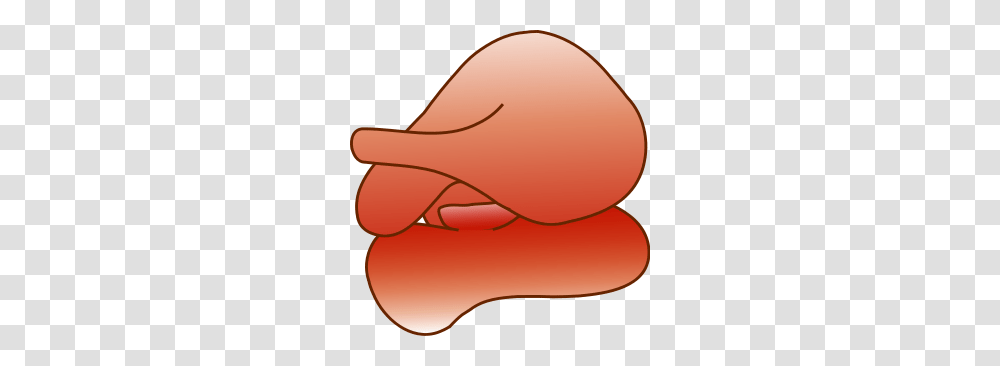 Structural Biochemistrylipidsmicelles, Heart, Animal, Lamp, Mammal Transparent Png