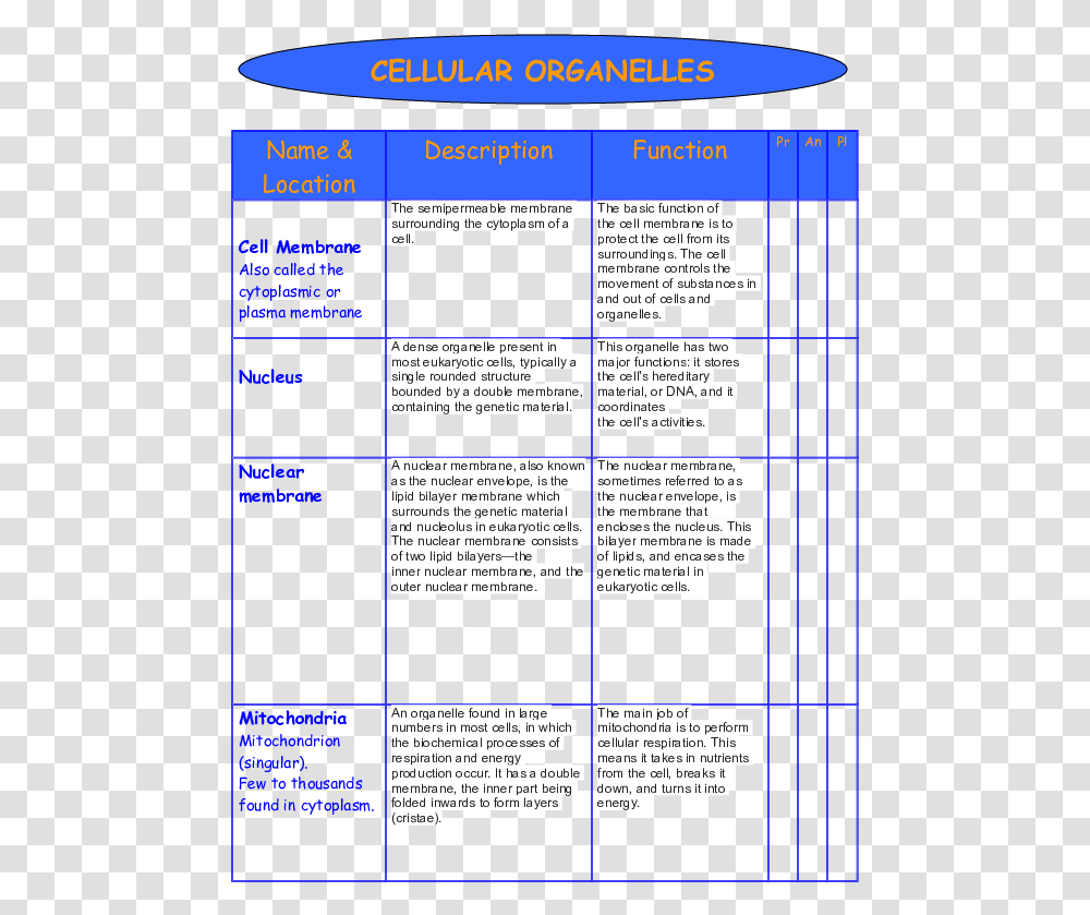 Structure And Function Of Major Organelles, Word, Flyer, Poster Transparent Png