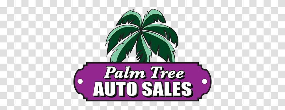 Stuart Used Cars Palm Tree Auto Sales North Sea Jazz Festival, Plant, Leaf, Flyer, Poster Transparent Png