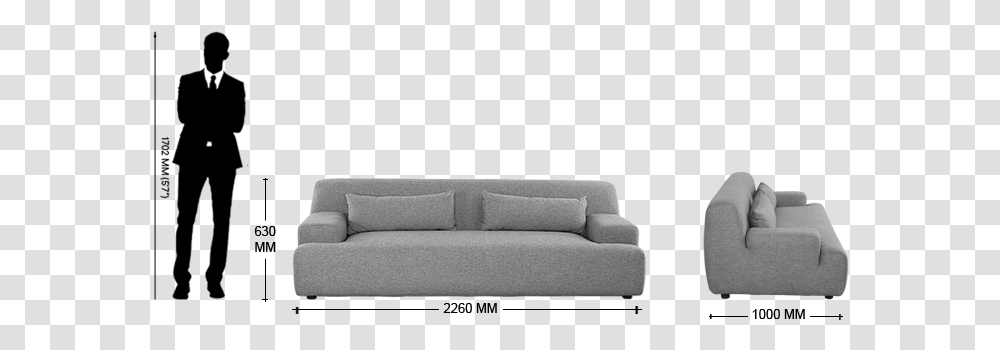 Studio Couch, Furniture, Cushion, Pillow, Living Room Transparent Png