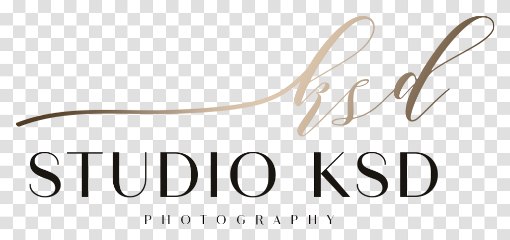 Studio Ksd Photojournalists Calligraphy, Handwriting, Alphabet, Label Transparent Png