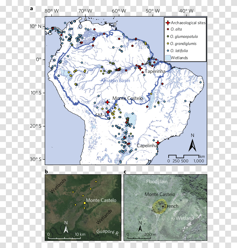 Study Region Atlas, Map, Diagram, Plot, Dog Transparent Png