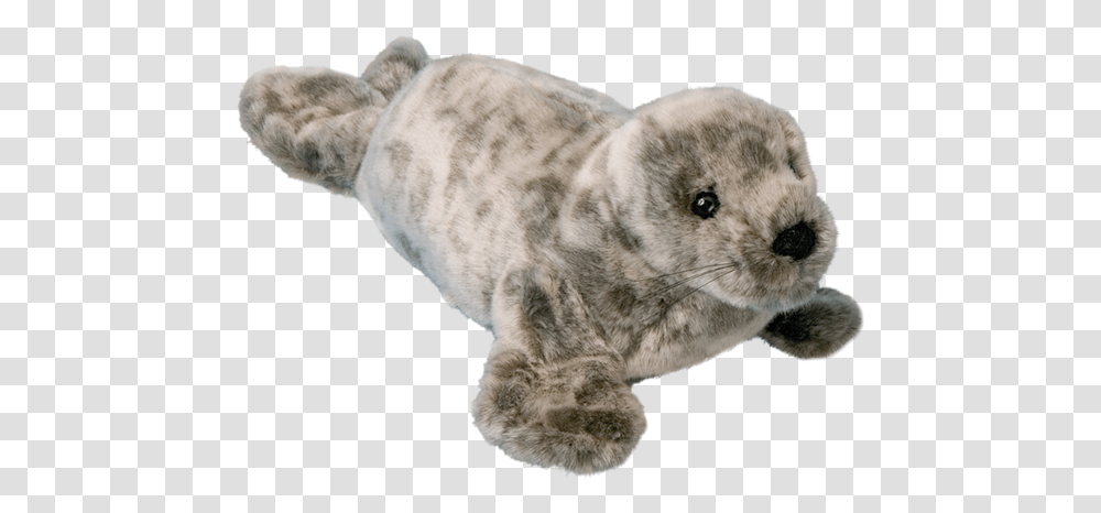 Stuffed Seal, Mammal, Animal, Rodent, Chinchilla Transparent Png