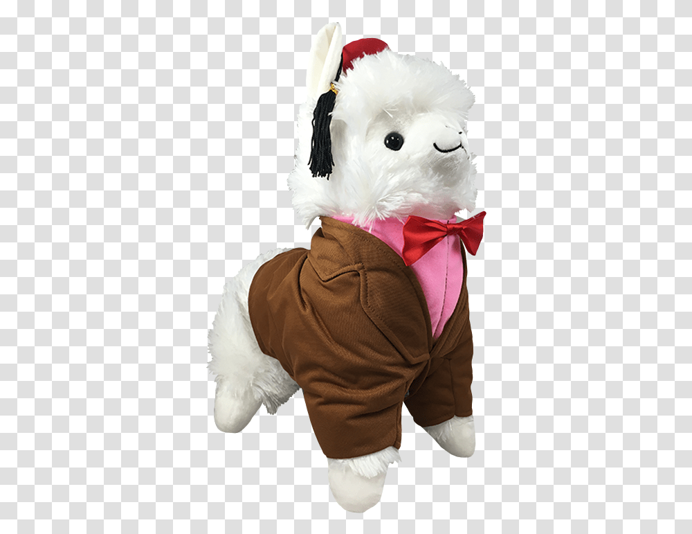 Stuffed Toy, Apparel, Mascot, Person Transparent Png