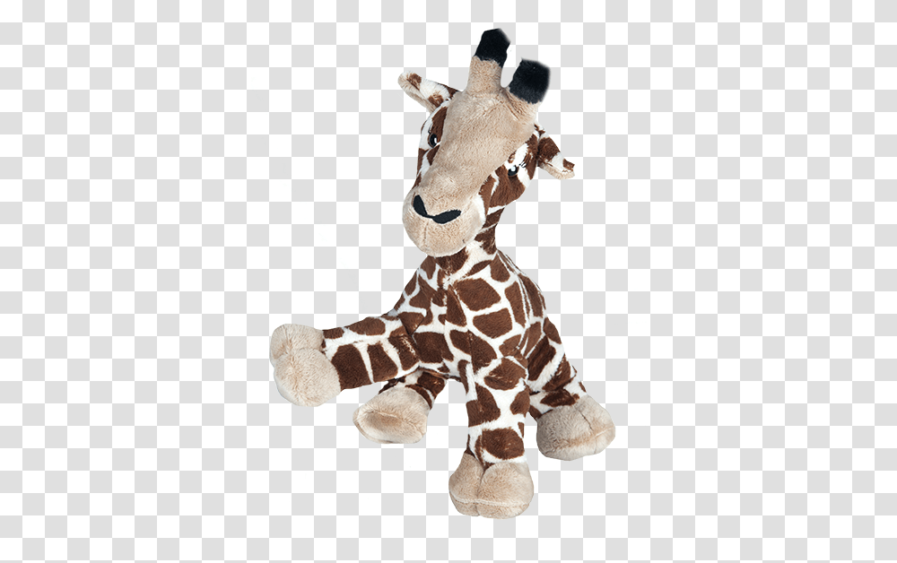 Stuffed Toy, Giraffe, Wildlife, Mammal, Animal Transparent Png