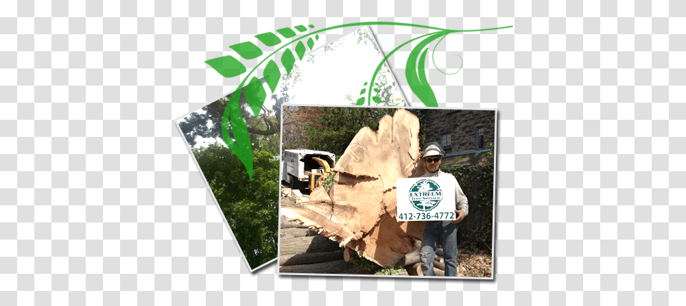 Stump Removal Tree, Person, Human, Transportation, Wood Transparent Png