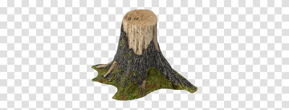 Stump Tree Trunk Background Tree Stump, Fungus Transparent Png