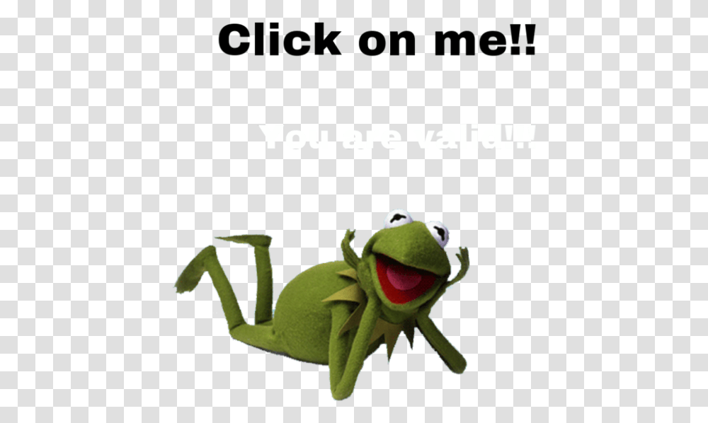 Stupid Kermit The Frog, Amphibian, Wildlife, Animal, Invertebrate Transparent Png