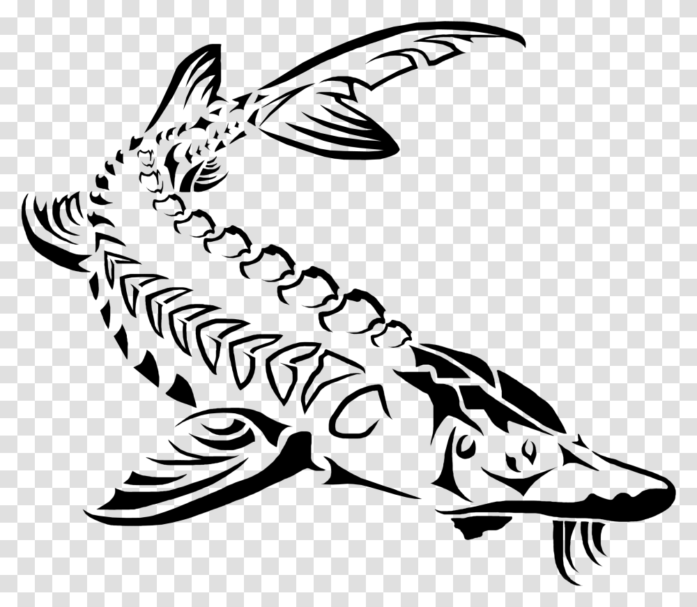 Sturgeon Drawing Clipart Free Download Sturgeon Clipart, Gray, World Of Warcraft Transparent Png