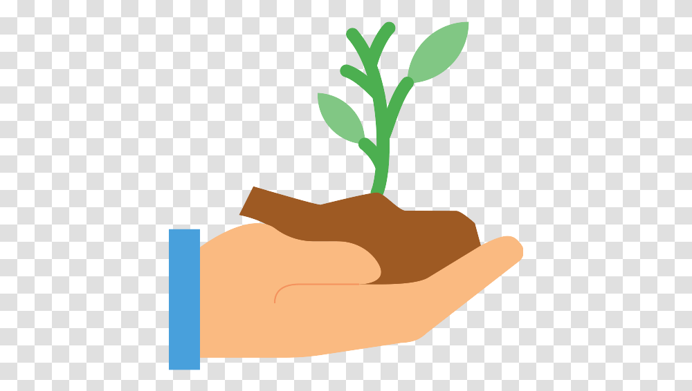 Styleaurora Hands Golding Sprout Vector Portable Network Graphics, Plant, Produce, Food, Vegetable Transparent Png