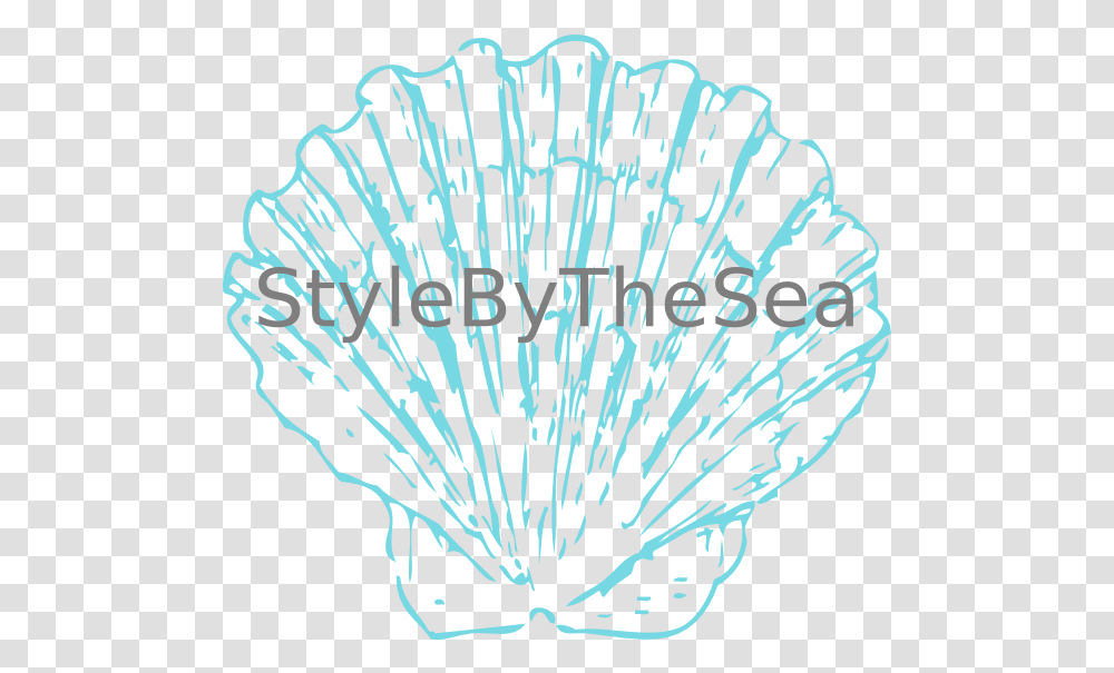 Stylebythesea Shell Icon Fossil Clam Drawing, Nature, Outdoors, Coral Reef, Rug Transparent Png