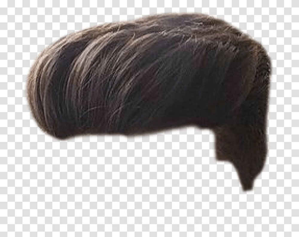 Stylish Hair Hd Men Hair Wig, Nature, Outdoors, Fungus, Mammal Transparent Png