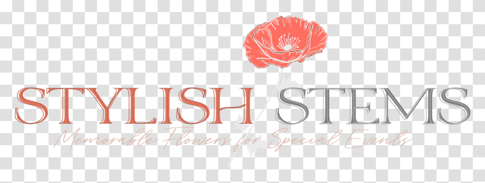 Stylish Stems Full Primary Logo Graphic Design, Plant, Carnation, Flower Transparent Png