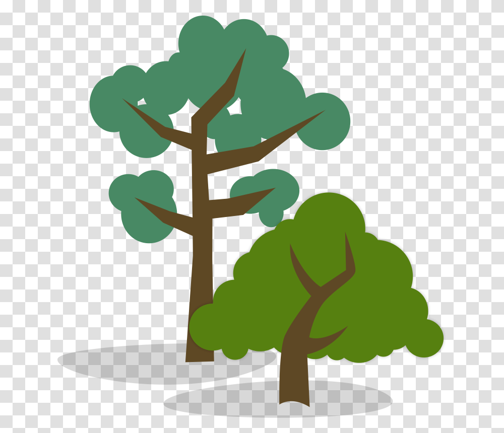 Stylized Illustration Of One Tall And Short Tree Vs Tall Tree, Plant, Cross, Flower, Root Transparent Png