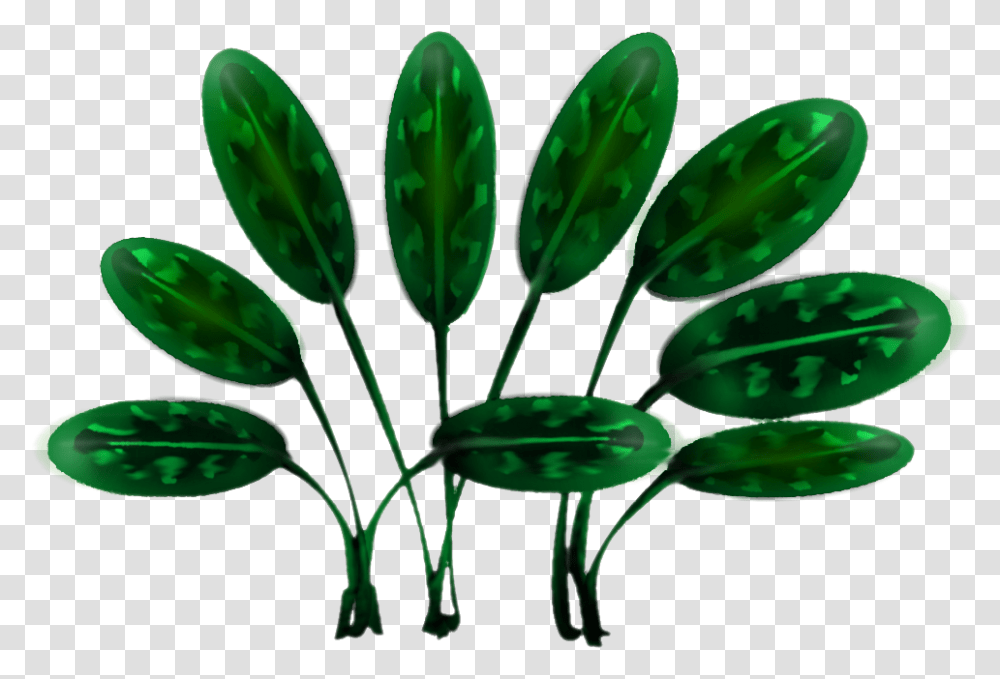 Stylizedjungleplant 08 Illustration, Green, Leaf, Food, Sprout Transparent Png
