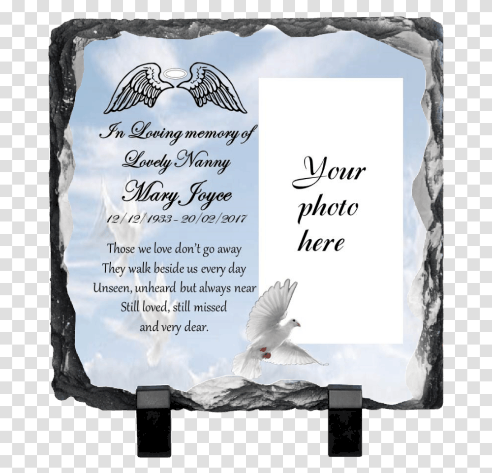 Sublimation Fathers Day Gift, Bird, Animal, Dove, Pigeon Transparent Png