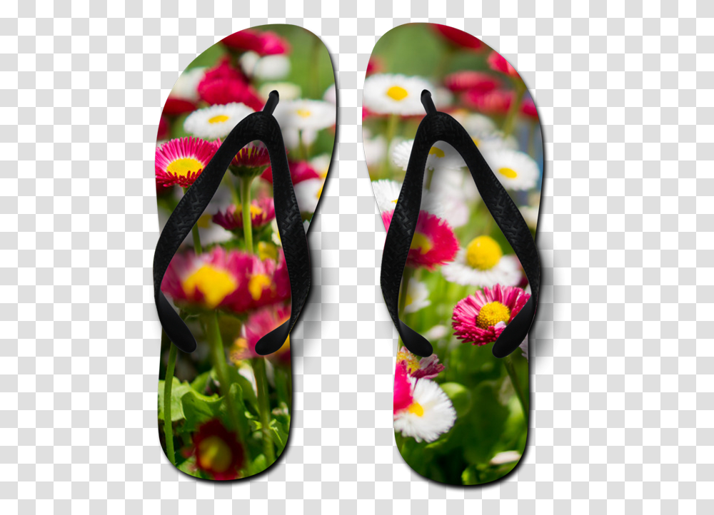 Sublimation Flip Flops, Apparel, Footwear, Flip-Flop Transparent Png