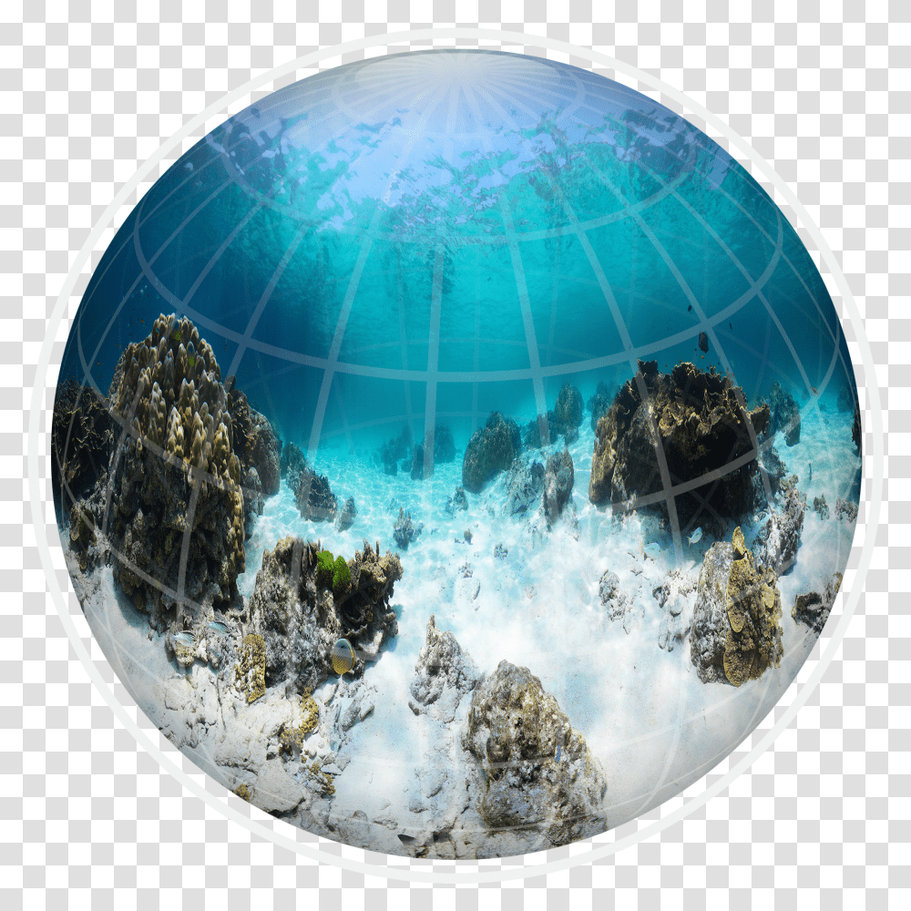 Submapping Dome Transparent Png