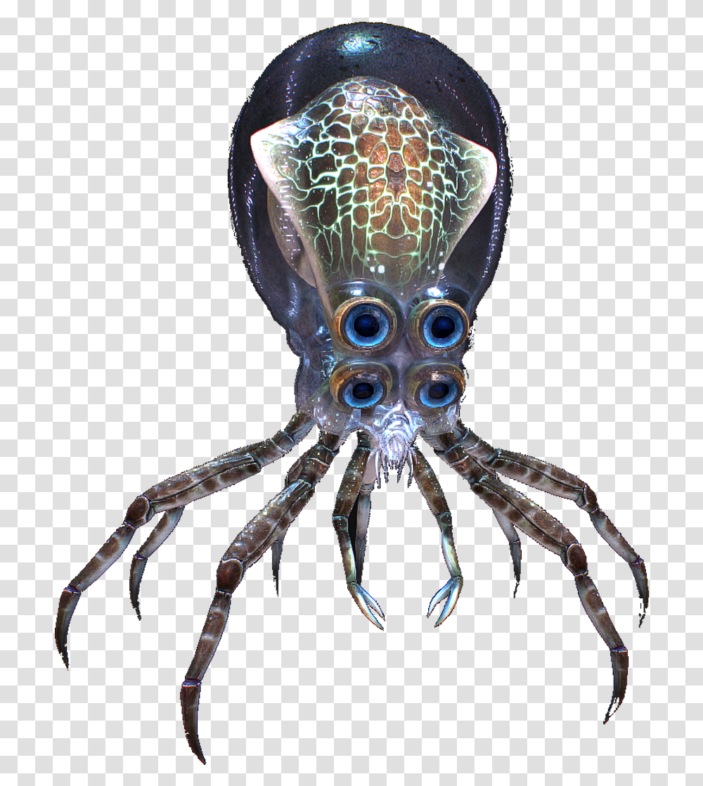 Subnautica Crab Squid Download Subnautica Crab Squid Drawn, Spider, Invertebrate, Animal, Arachnid Transparent Png