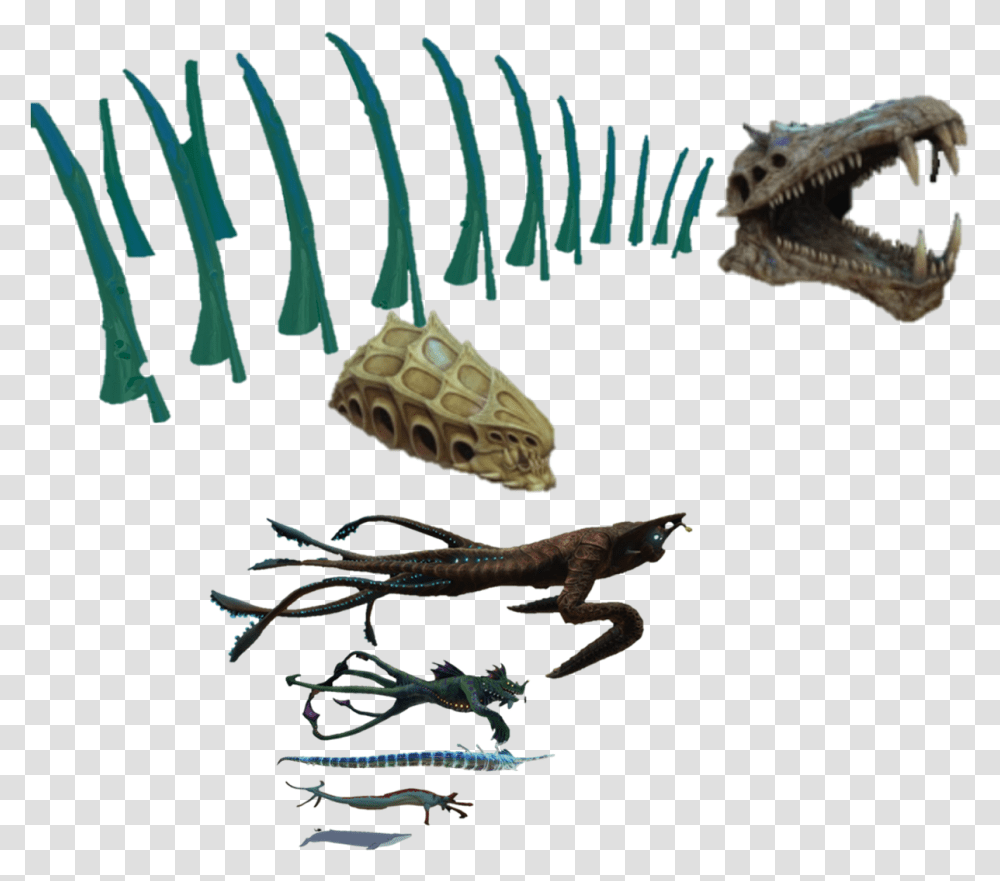 Subnautica Size Comparison Chart Subnautica Leviathan Size Chart, Lizard, Reptile, Animal, Dinosaur Transparent Png