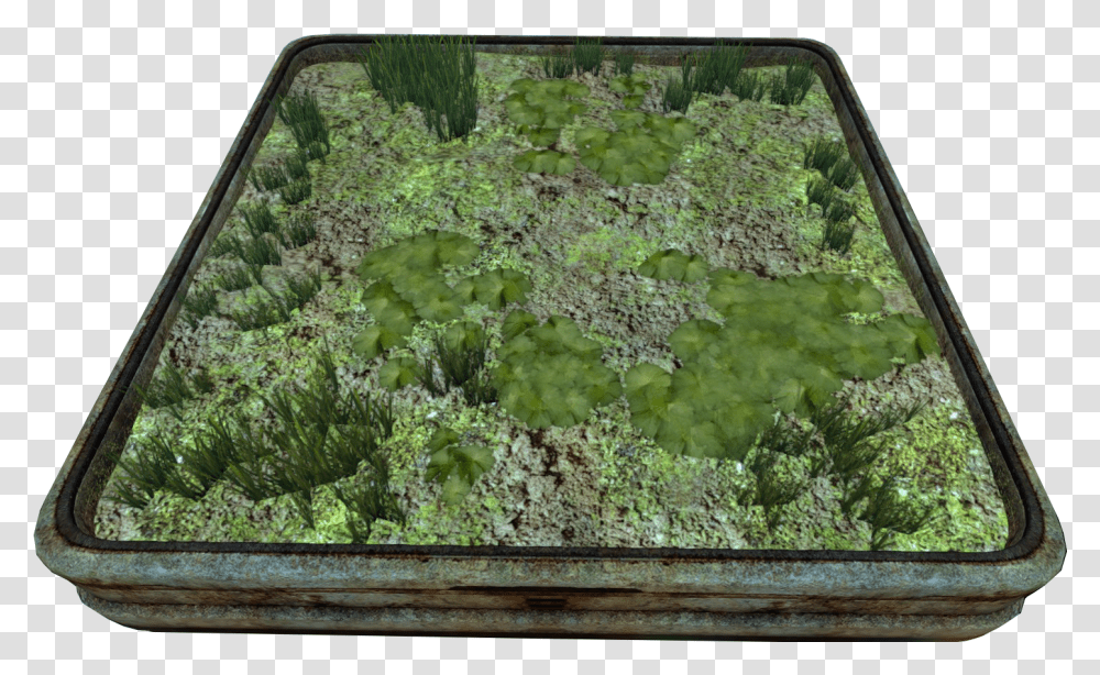 Subnautica Wiki Moss, Plant, Vegetation, Kale, Cabbage Transparent Png