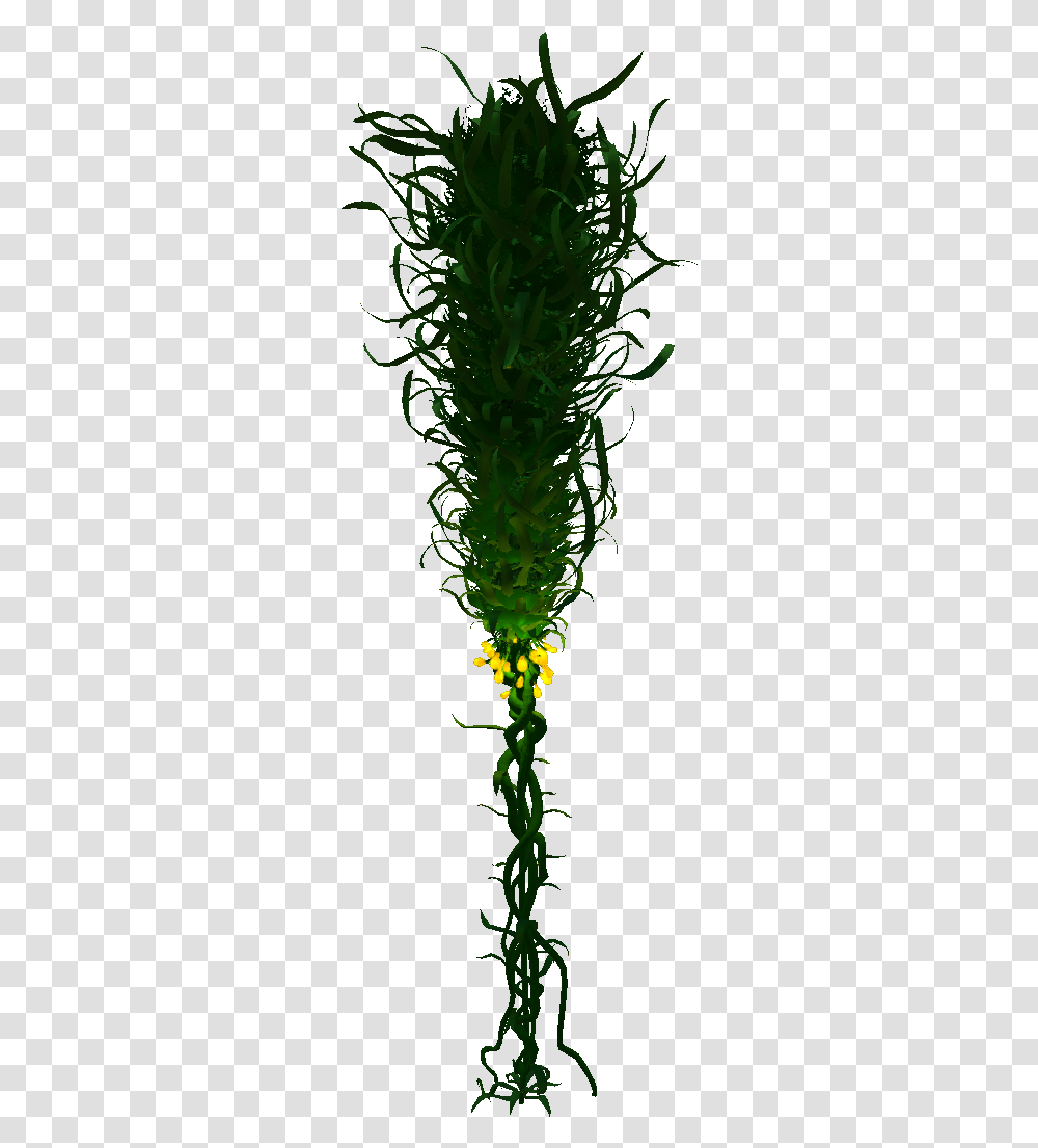 Subnautica Wiki Subnautica Creepvine, Plant, Bud, Sprout, Flower Transparent Png