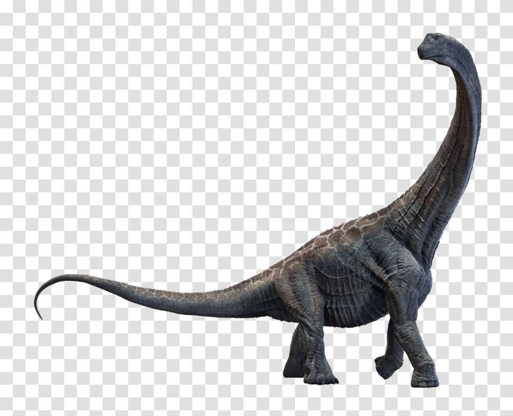 Subscribe Our Youtube Channel Like Facebook, Dinosaur, Reptile, Animal, T-Rex Transparent Png