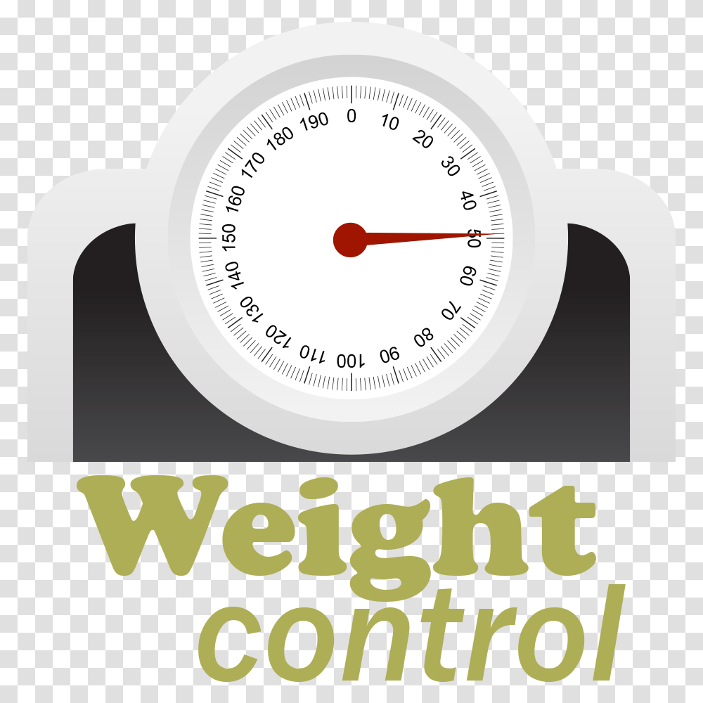 Subscribe To E Picks Newsletter Weight Control, Gauge, Tachometer Transparent Png