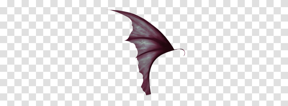 Succubus Demon Wing Couldn't Make A Sticker Of An Marlin, Plant, Flower, Person, Petal Transparent Png