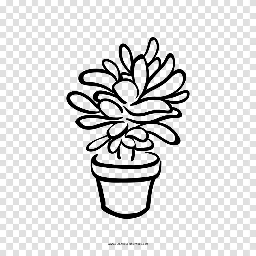 Succulent Coloring, Gray, World Of Warcraft Transparent Png