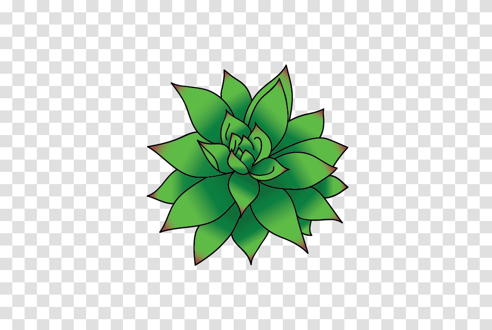 Succulent Draw On Behance, Plant, Leaf Transparent Png