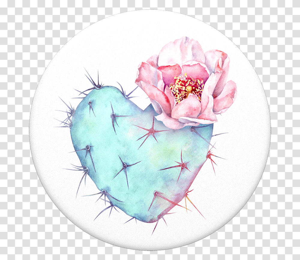 Succulent Heart Popsocket, Plant, Cactus, Flower, Blossom Transparent Png