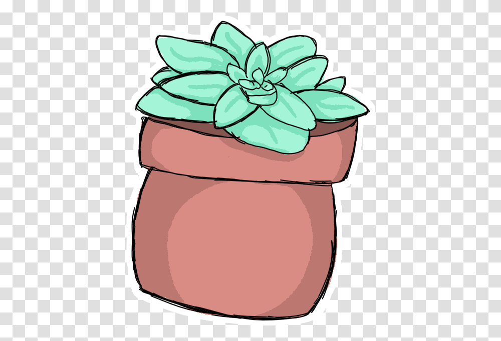 Succulent Plant Doodle, Gift Transparent Png