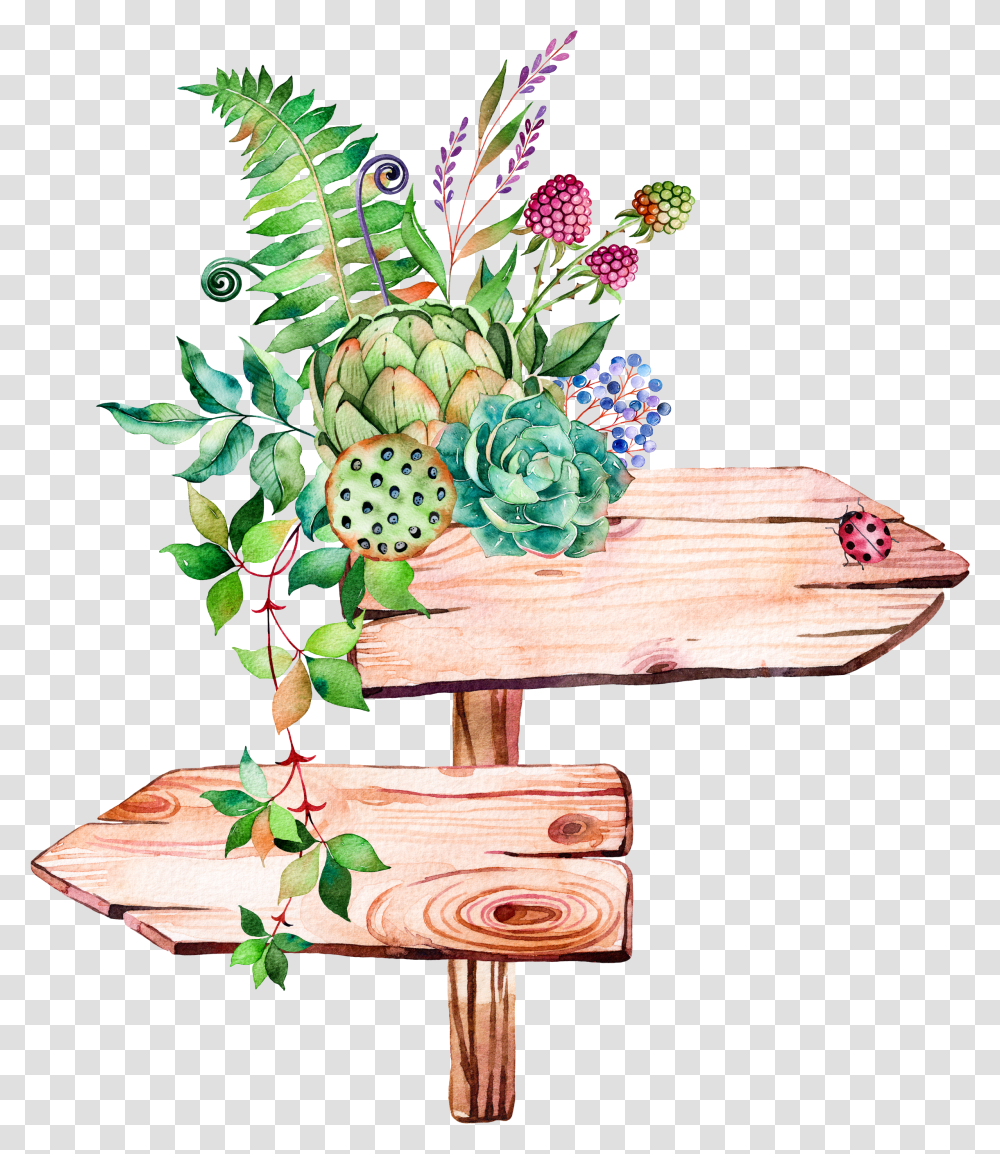 Succulent Plant Illustration Watercolor Signs Painting Succulent Watercolor Transparent Png