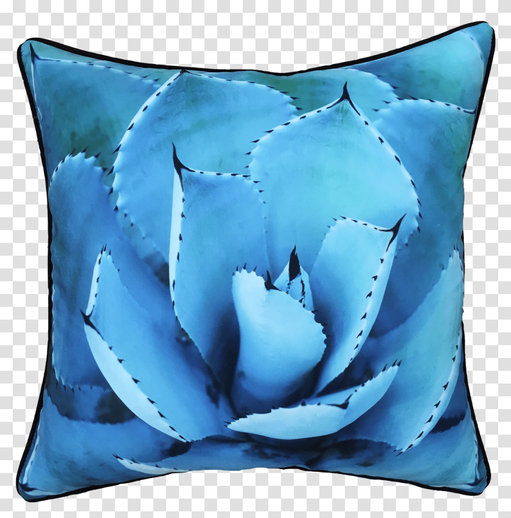 Succulent Plant, Pillow, Cushion, Painting Transparent Png